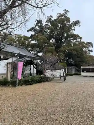 道明寺天満宮(大阪府)