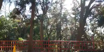 伏見稲荷大社(京都府)