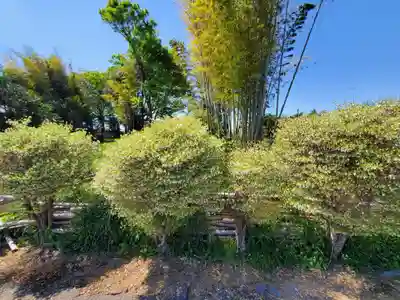 稲荷神社(栃木県)