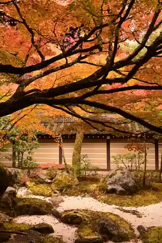 禅林寺（永観堂）(京都府)