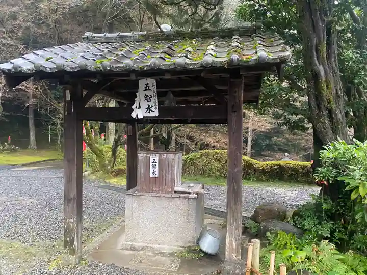 今熊野観音寺(京都府)