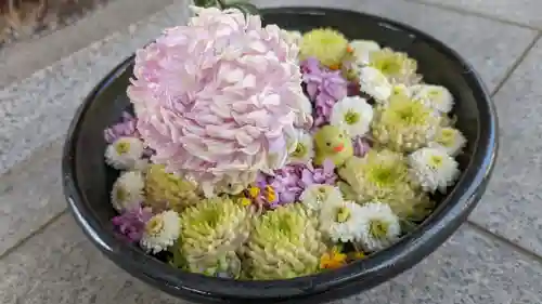 天暁山　一行院(東京都)