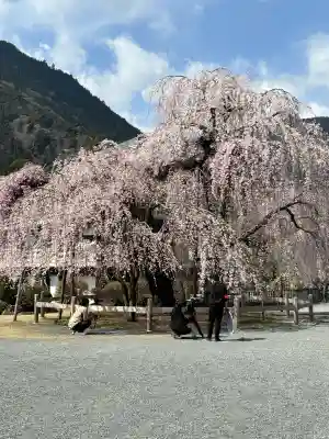 久遠寺の{uncategorized: "未分類", other: "その他", undefined: "問題あり", building: "その他建物", grave: "お墓", sacred_gate: "鳥居", guardian: "狛犬", statue: "像", buddha: "仏像", history: "歴史", nature: "自然", garden: "庭園", animal: "動物", pagoda: "塔", temizu: "手水舎", mountain_gate: "山門・神門", sanctuary: "本殿・本堂", subordinate: "末社・摂社", art: "芸術", scenery: "景色", jizo: "地蔵", ema: "絵馬", goshuin: "御朱印", omikuji: "おみくじ", items: "授与品その他", amulet: "お守り", goshuincho: "御朱印帳", eats: "食事", festival: "お祭り", votive_dance: "神楽", shichigosan: "七五三参", wedding: "結婚式", experience: "体験その他", initially: "初詣", around: "周辺", anti_infection: "感染症対策"}