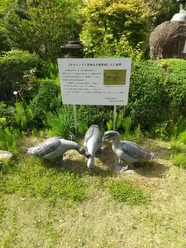 大聖寺（土浦大師不動尊）の狛犬