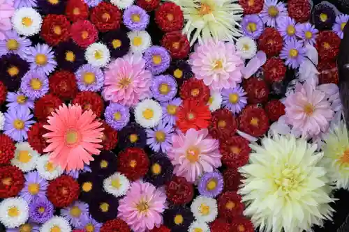 大鏑神社の手水舎