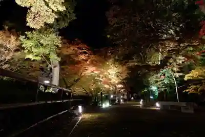 北野天満宮(京都府)