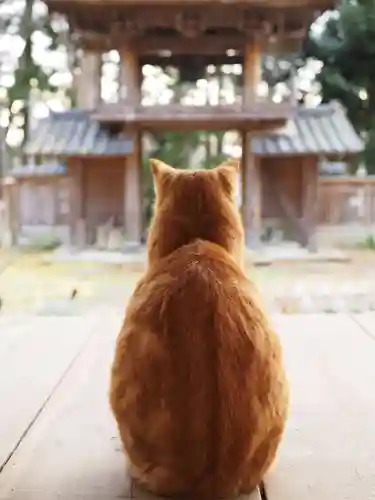 天王山 安楽寺(福井県)