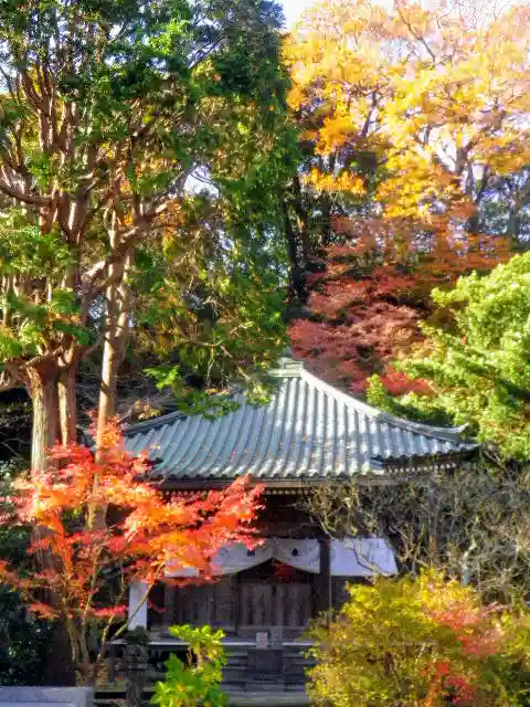 安國論寺(安国論寺)の本殿・本堂