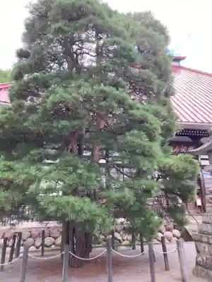 岩松院(長野県)