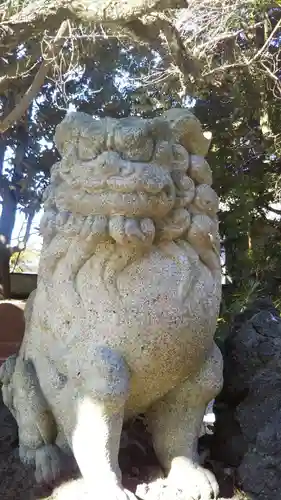 柏諏訪神社の狛犬