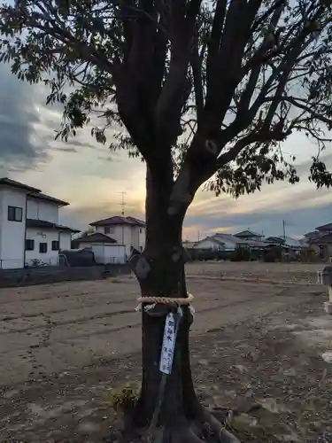 女体神社(埼玉県)