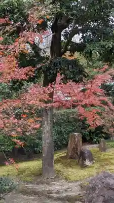 建仁寺（建仁禅寺）(京都府)