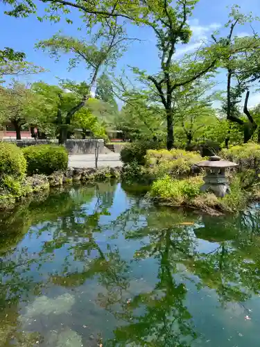 富士山本宮浅間大社(静岡県)