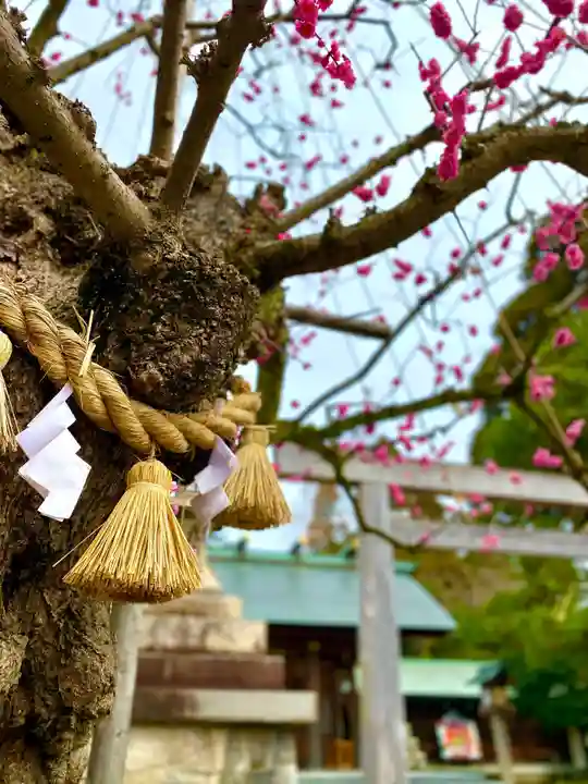 射水神社の自然