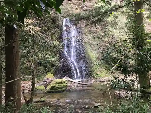 山神神社の自然