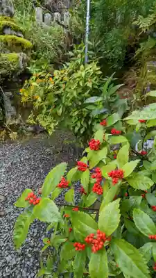 大豊神社(京都府)