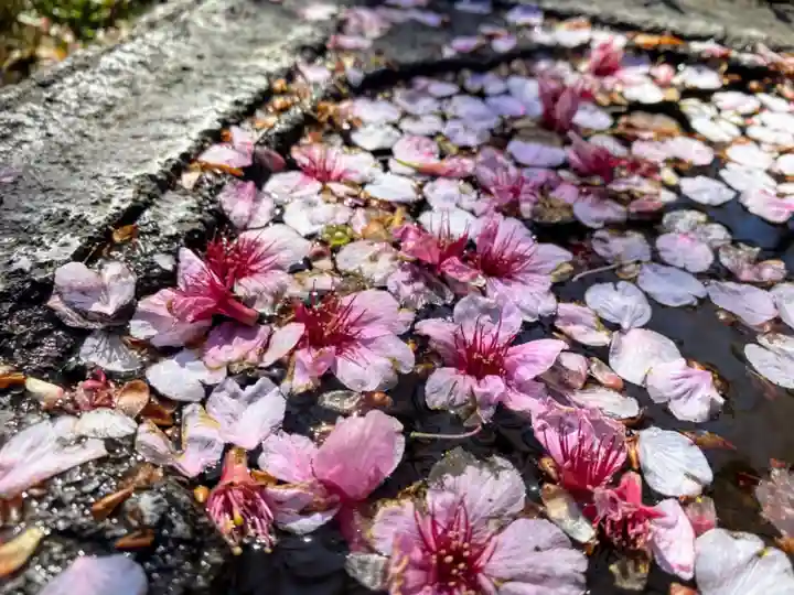 密藏院(埼玉県)