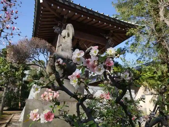 常徳院の建物その他