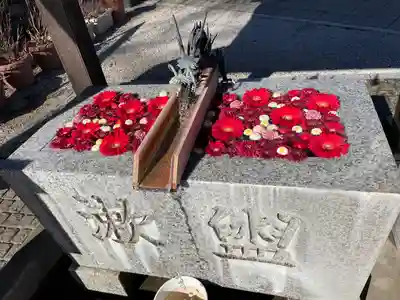 川越八幡宮(埼玉県)