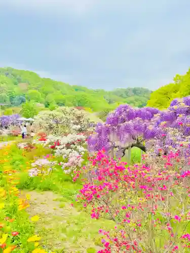 徳蔵寺(栃木県)