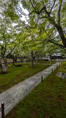 黄梅院(京都府)