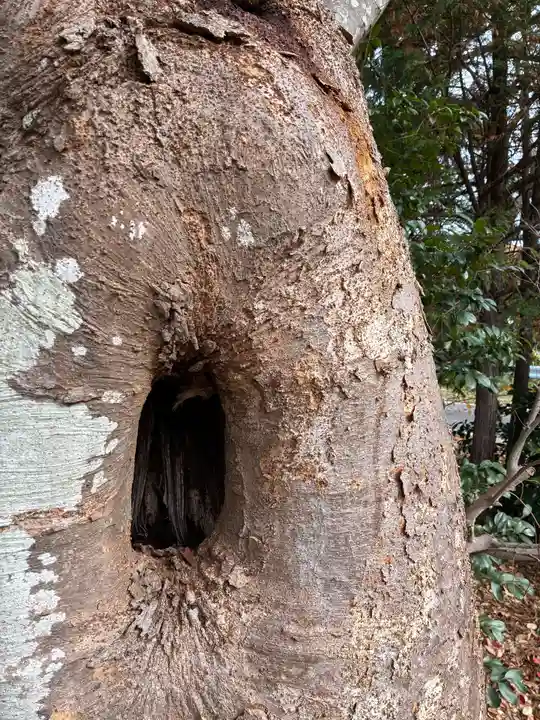 岩井神社(千葉県)