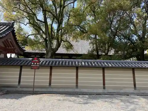 東寺（教王護国寺）(京都府)