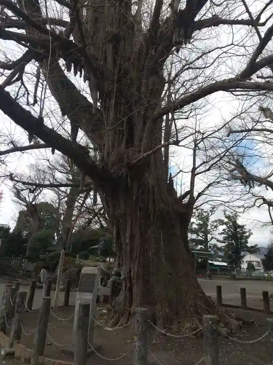 勝福寺(神奈川県)