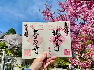柳谷観音 楊谷寺(京都府) 2024年03月01日(金)〜(2024年05月13日(月) 12時31分13秒投稿)