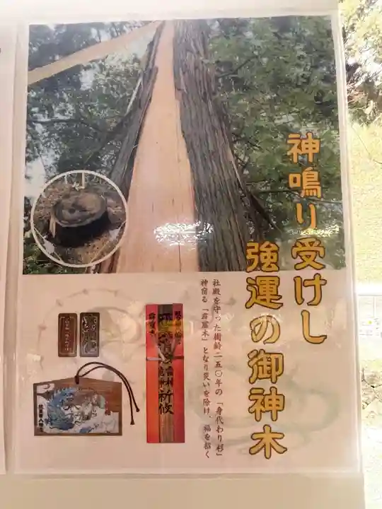 蚊里田八幡宮(長野県)