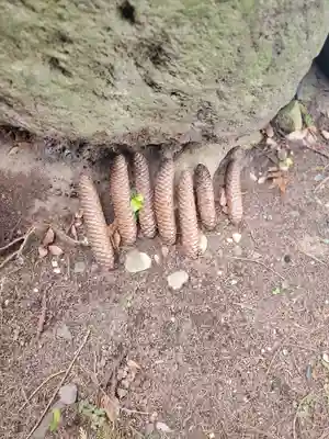 童女神社の自然