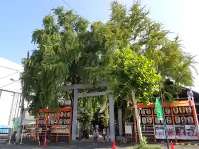 波除神社（波除稲荷神社）の鳥居