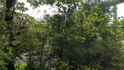 聖徳太子神社（留辺蘂神社）の自然