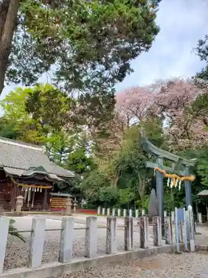 佐野赤城神社(栃木県)