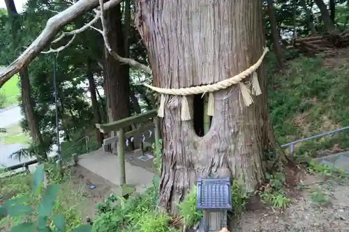 阿久津「田村神社」（郡山市阿久津町）旧社名：伊豆箱根三嶋三社の自然