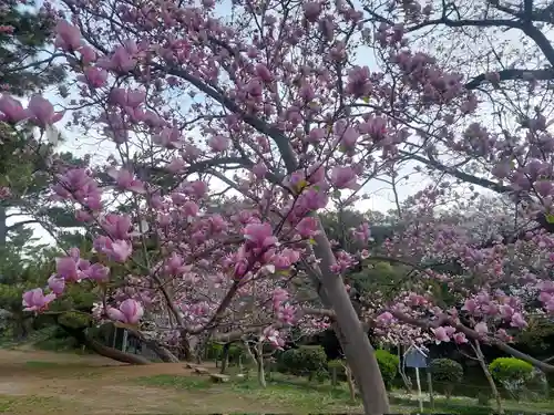 刺田比古神社(和歌山県)