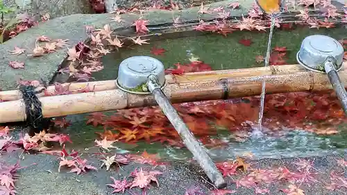 円通寺の手水舎