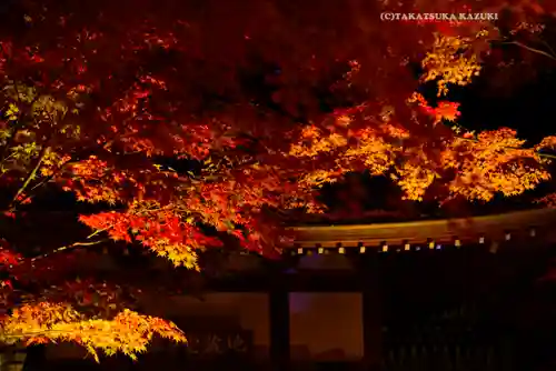 長谷寺(神奈川県)