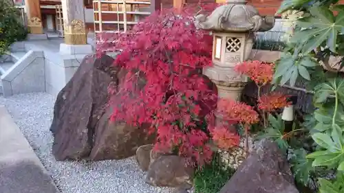 本性寺の庭園