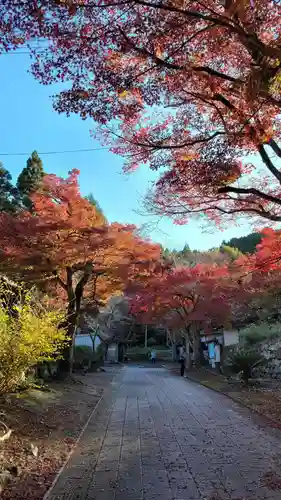 清滝寺徳源院(滋賀県)