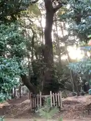 熊野社（南熊野神社）(愛知県)