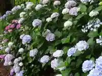 立志神社の自然