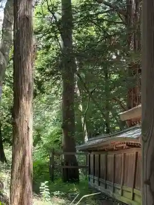 諏訪大社下社春宮(長野県)