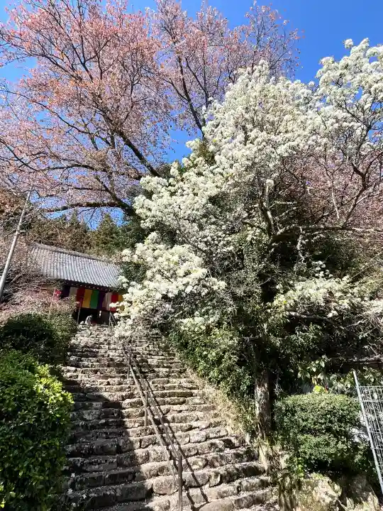 仏隆寺の{uncategorized: "未分類", other: "その他", undefined: "問題あり", building: "その他建物", grave: "お墓", sacred_gate: "鳥居", guardian: "狛犬", statue: "像", buddha: "仏像", history: "歴史", nature: "自然", garden: "庭園", animal: "動物", pagoda: "塔", temizu: "手水舎", mountain_gate: "山門・神門", sanctuary: "本殿・本堂", subordinate: "末社・摂社", art: "芸術", scenery: "景色", jizo: "地蔵", ema: "絵馬", goshuin: "御朱印", omikuji: "おみくじ", items: "授与品その他", amulet: "お守り", goshuincho: "御朱印帳", eats: "食事", festival: "お祭り", votive_dance: "神楽", shichigosan: "七五三参", wedding: "結婚式", experience: "体験その他", initially: "初詣", around: "周辺", anti_infection: "感染症対策"}