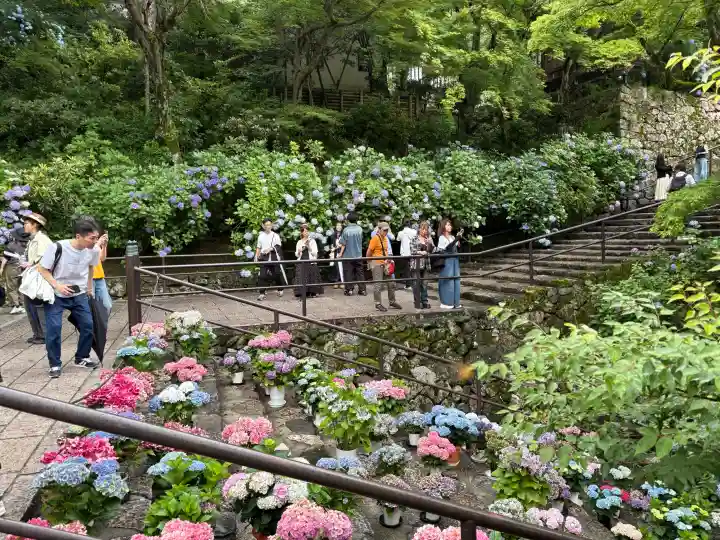 長谷寺(奈良県)