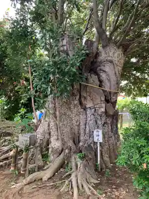 園生神社(千葉県)