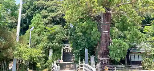 大國魂神社のその他建物