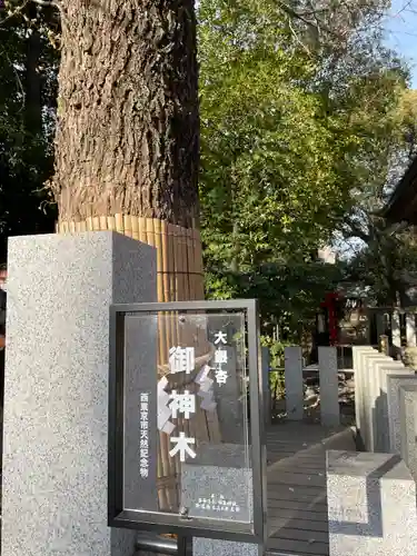 田無神社(東京都)