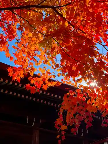 伊達神社の自然