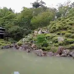 根来寺 智積院の庭園